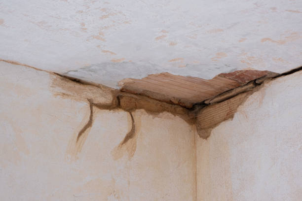 Best Sewage cleanup and water damage restoration  in Farmville, VA