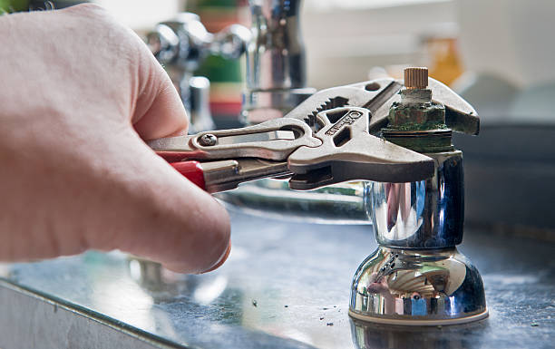 Best Local water damage restoration  in Farmville, VA