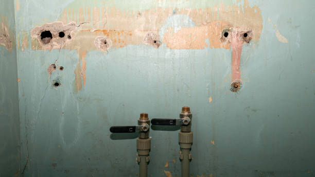 Best Water damage contractors near me  in Farmville, VA