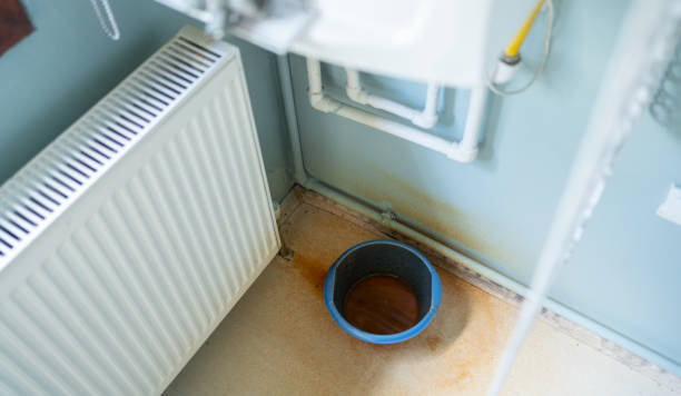 Best Professional water damage repair  in Farmville, VA