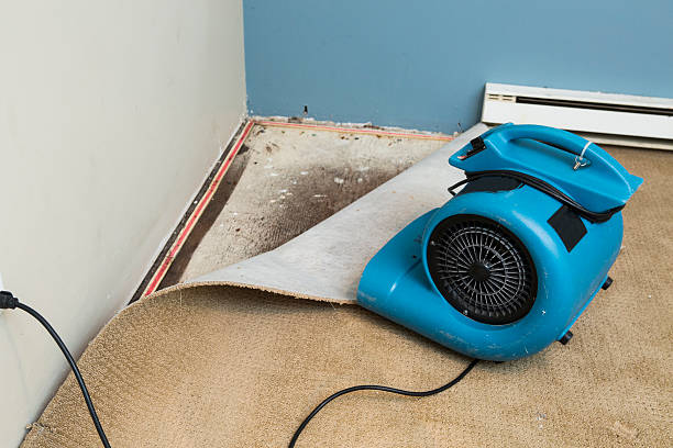 Best Emergency water damage restoration  in Farmville, VA